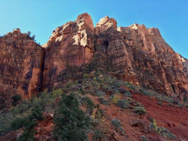 Views in Zion National Park