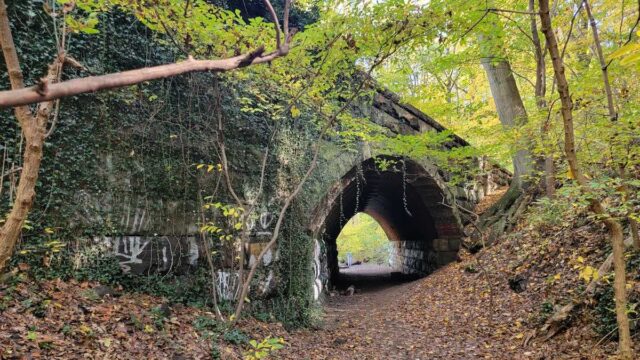 Dog Friendly Hikes Near Philadelphia - Trolley Trail