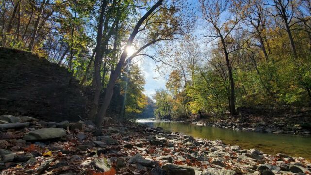 Dog Friendly Hikes Near Philadelphia - Wissahickon Valley Park