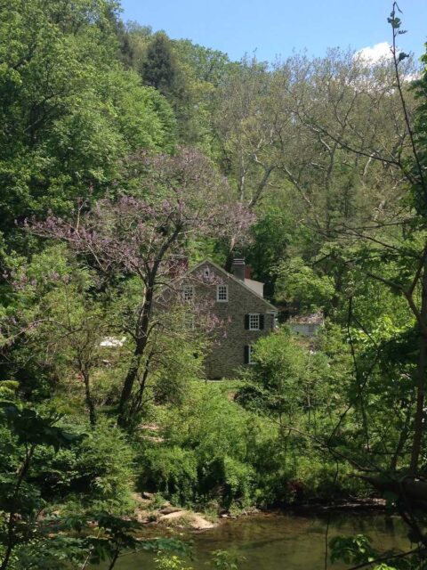 Wissahickon Valley Park