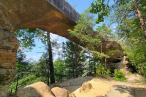 Dog-Friendly Hikes Red River Gorge