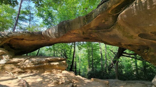 Princess Arch, Red River Gorge