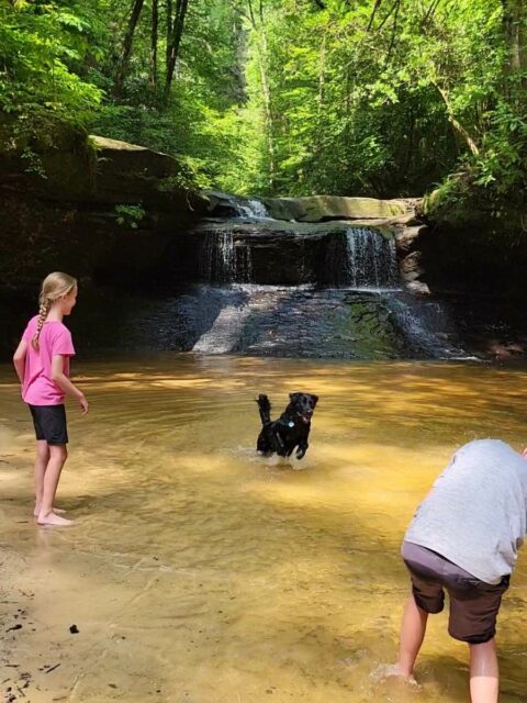 Rock Bridge and Creation Falls, Red River Gorge