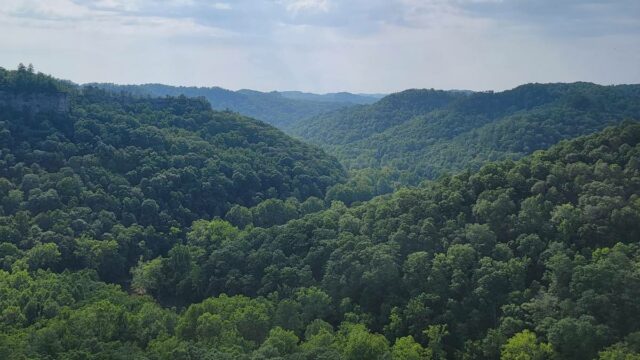 View from Chimney Top Rock, Red River Gorge