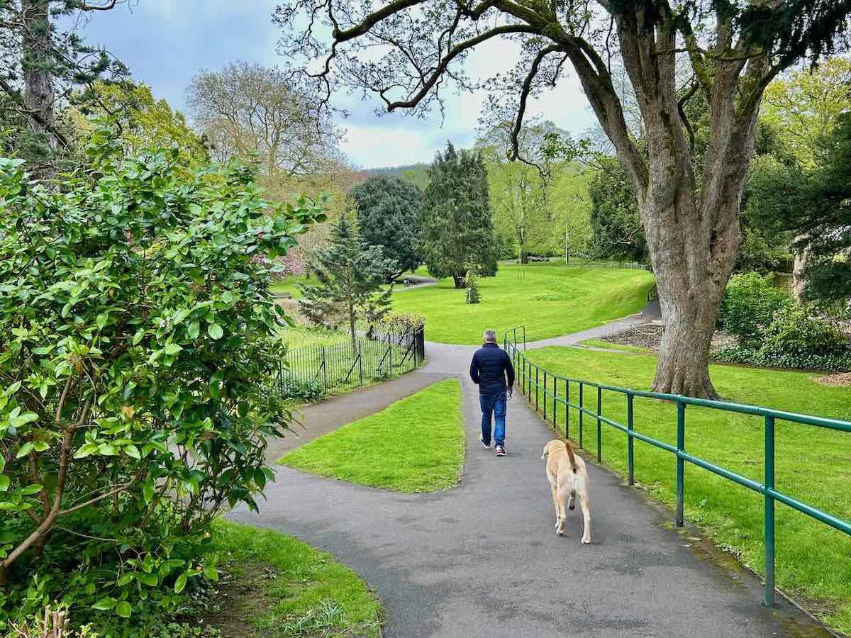Dog-Friendly Bath: Visiting Bath with a Dog - Travelnuity