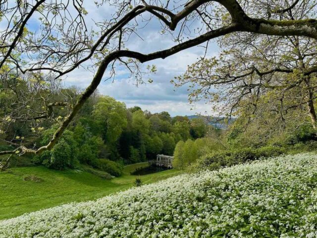 Prior Park Landscape Garden Bath