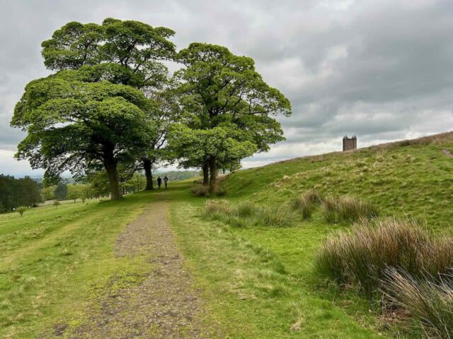Walking at Lyme Park
