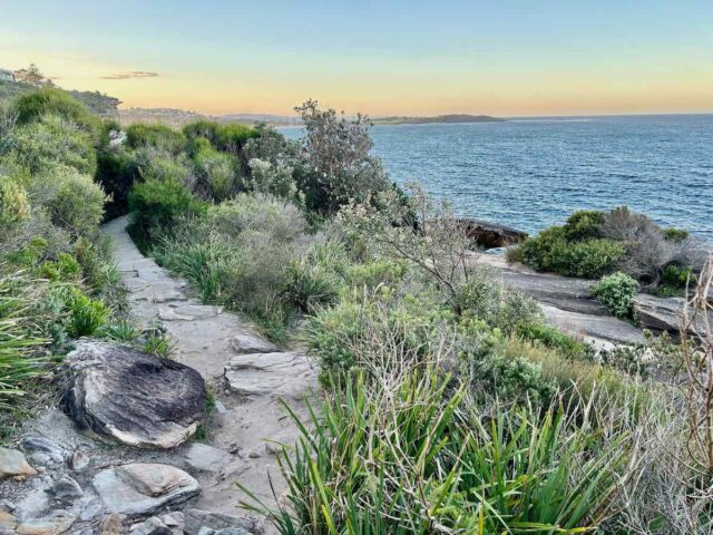 Dee Why to Curl Curl Cliff Walk