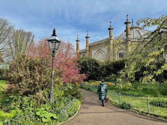 Dog-Friendly Gardens England