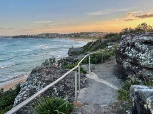 Dog-Friendly Walks Northern Beaches