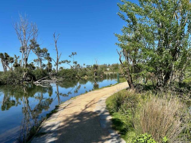 Lake Wendouree Walking Path