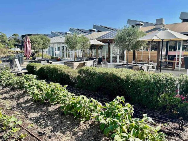 Burwood Brickworks Rooftop Garden