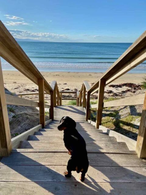 Stairs to Currarong Beach