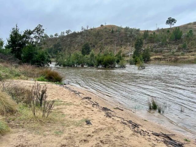 Uriarra West Picnic Area