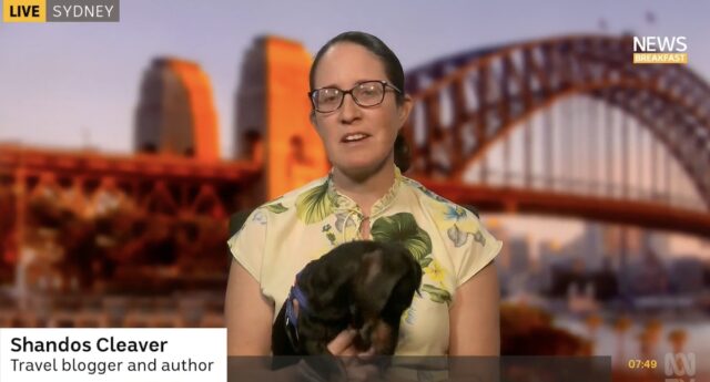 Shandos & Schnitzel on ABC News Breakfast
