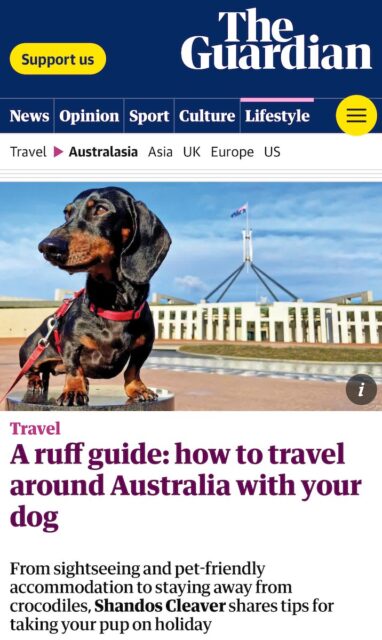 Screenshot of A ruff guide article on The Guardian