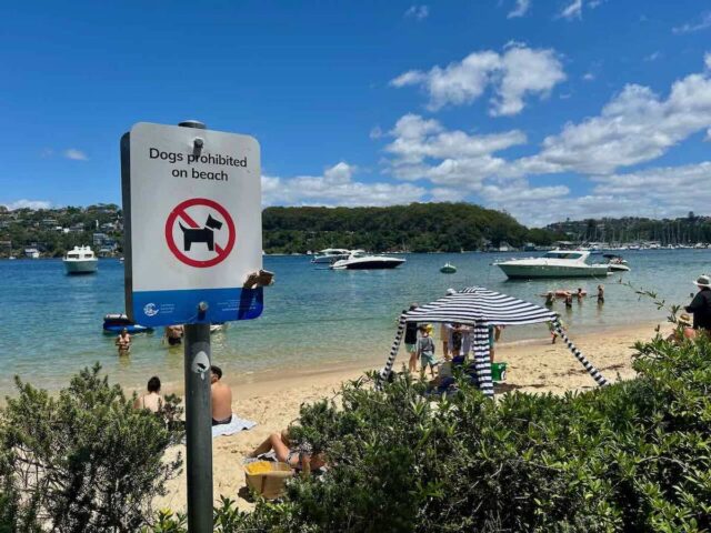 Clontarf Reserve Dogs Prohibited on Beach