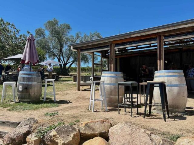 Dear Vincent Cellar Door