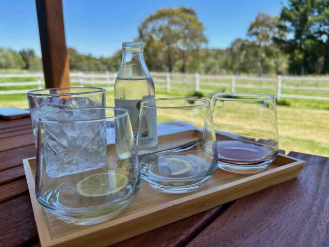 Gin tasting at The Ginyard