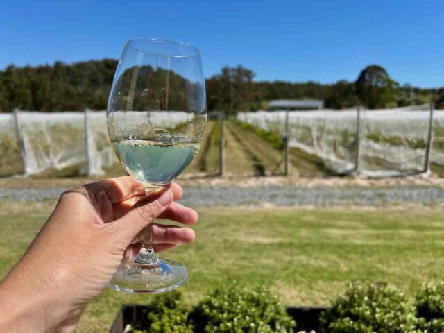Wine Tasting at Serrena Que Estate