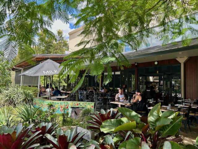 Andonis Cafe Yeerongpilly