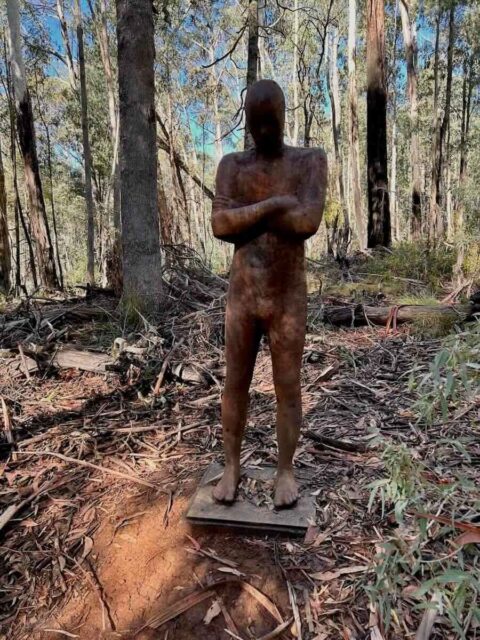 Sculpture on Alpine Ash Walk