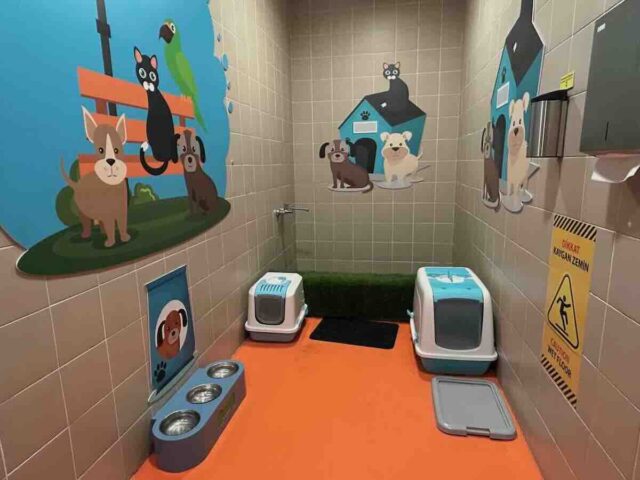 Istanbul Pet Relief Area Small