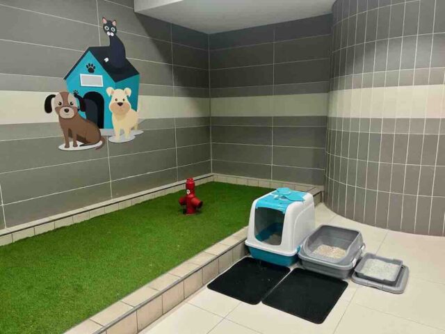 Istanbul Pet Relief Area Large
