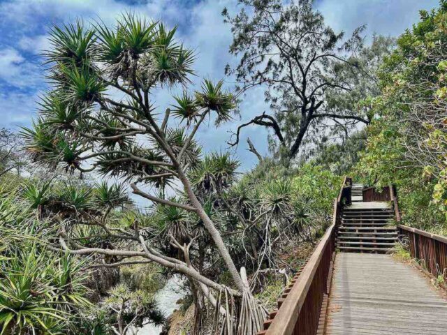 North Gorge Boardwalk