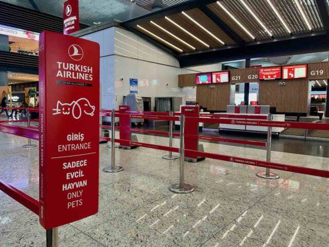Pet-Friendly Check-In Istanbul Airport