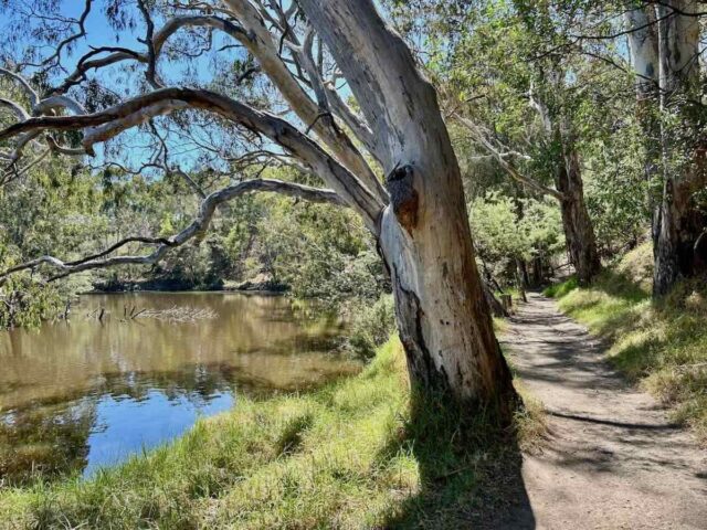Dights Falls Trail