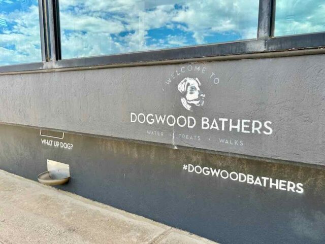 Dog-Friendly Elwood Bathers