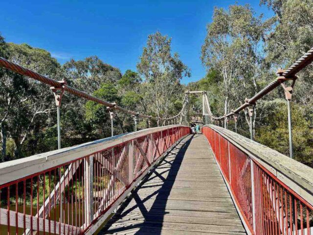 Dog-Friendly Walks Melbourne