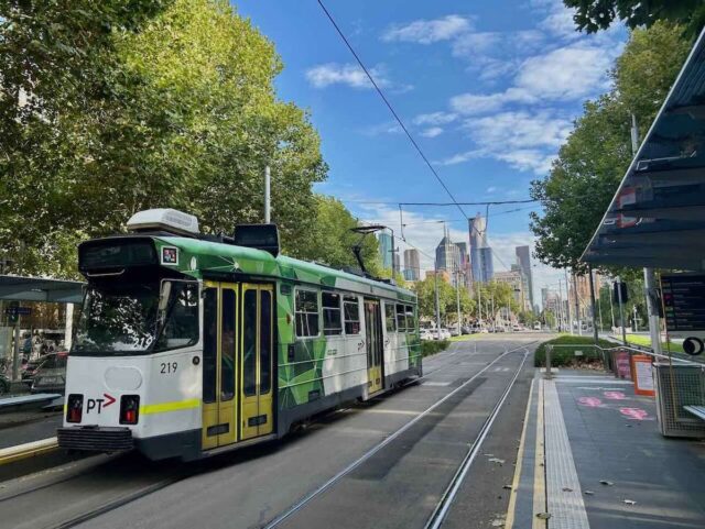 Pets on Public Transport in Melbourne