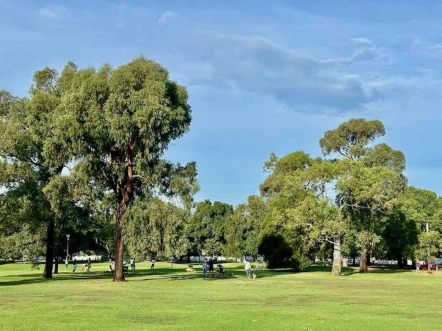 Princes Park Off-Leash Area