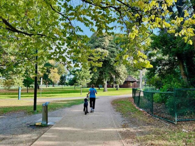 Princes Park Walking with Dog