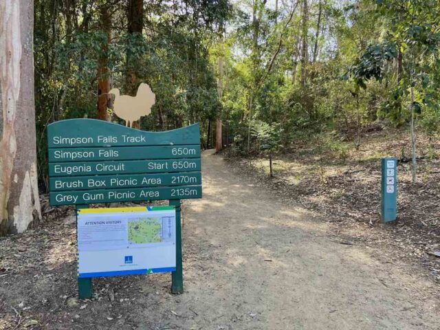 Simpsons Falls Track