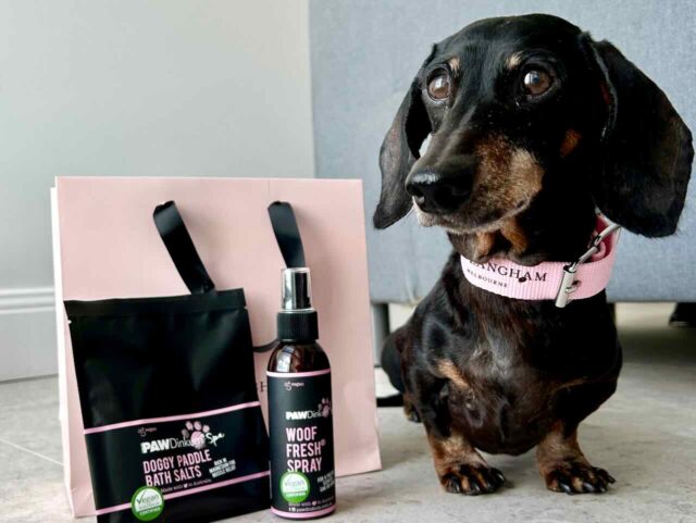 The Langham Gift Bag with Schnitzel