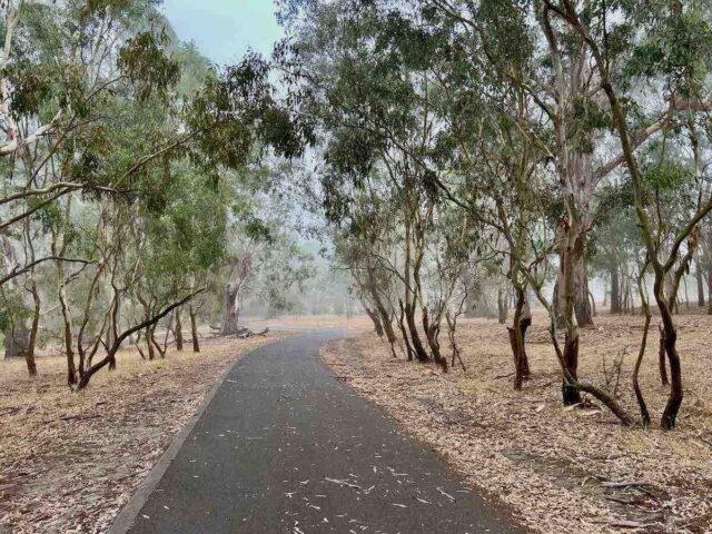 Westerfolds Park Loop