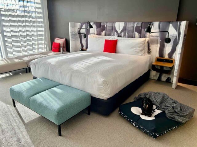 Bed Wide Shot at Ovolo Woolloomooloo