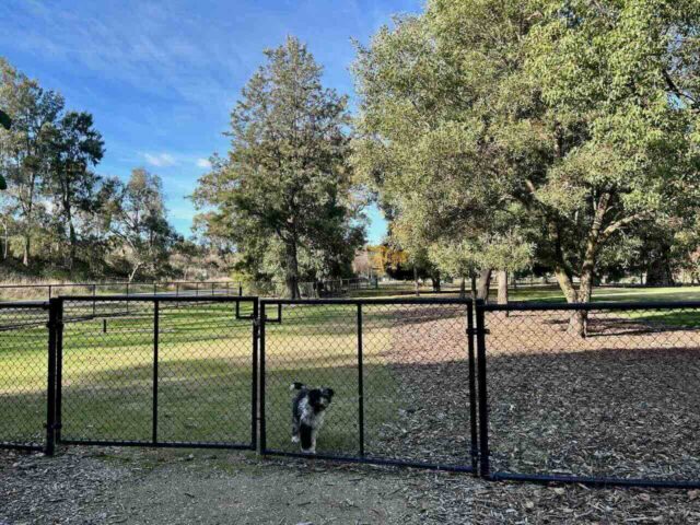 Belvoir Dog Park Wodonga