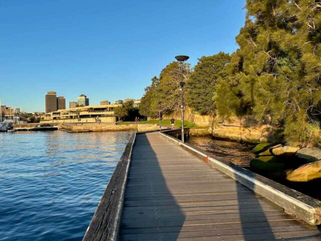 Boardwalk at Mrs Macquaries Point