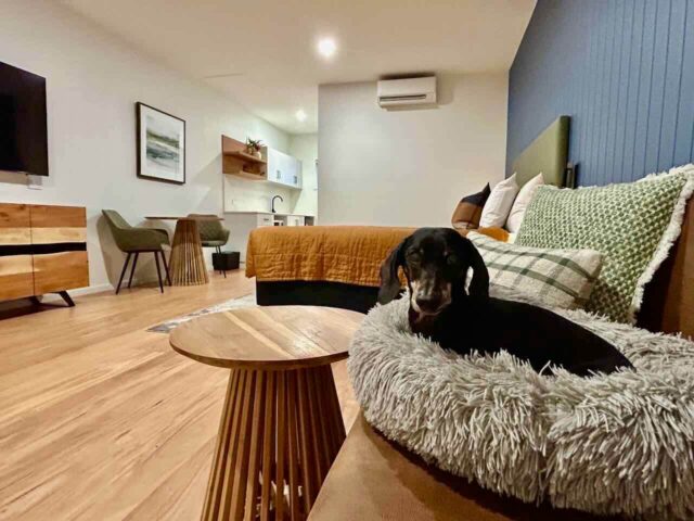 Econo Lodge Border Gateway Wodonga with Dog