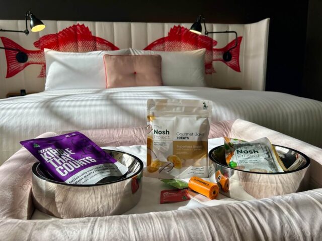 Ovolo Latest ViPooch Inclusions