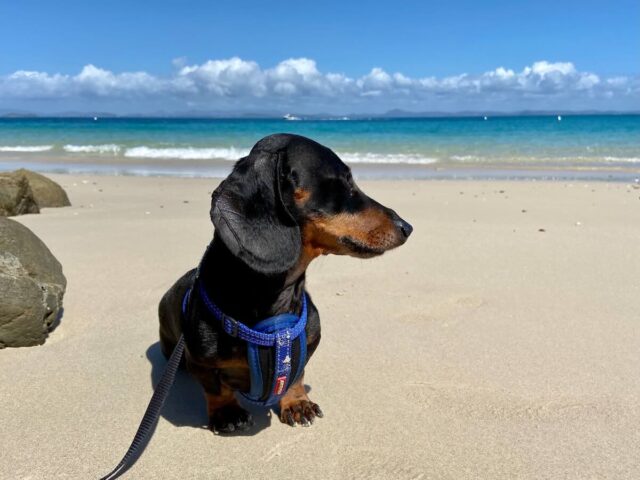 Shelving Beach on Great Keppel Island