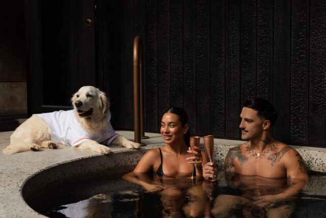Sol Elements Dog-Friendly Suite Close-up