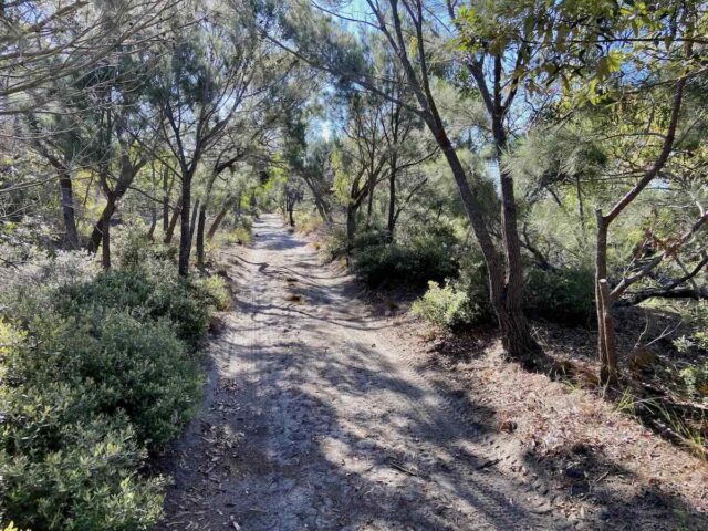 Walking Track on Great Keppel Island