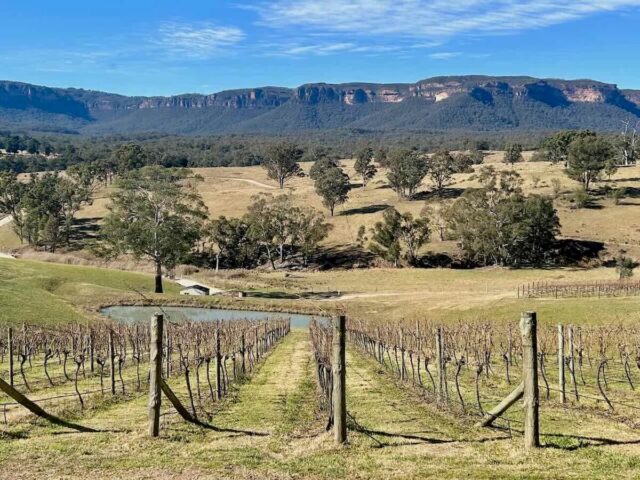 Dry Ridge Estate View