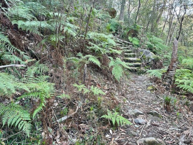 Florabella Pass Steps