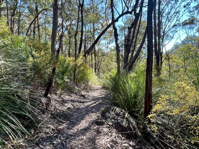 Florabella Pass Trail
